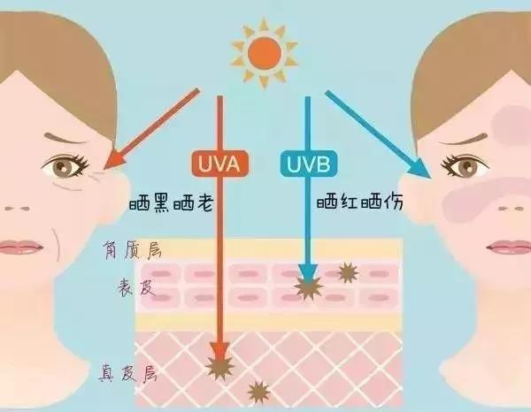 疫情结束后，你最想做什么?我选6，你呢?