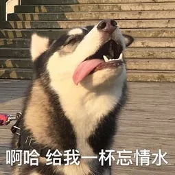 “沙漠干皮”只知道敷面膜?做对4件事皮肤水润润!