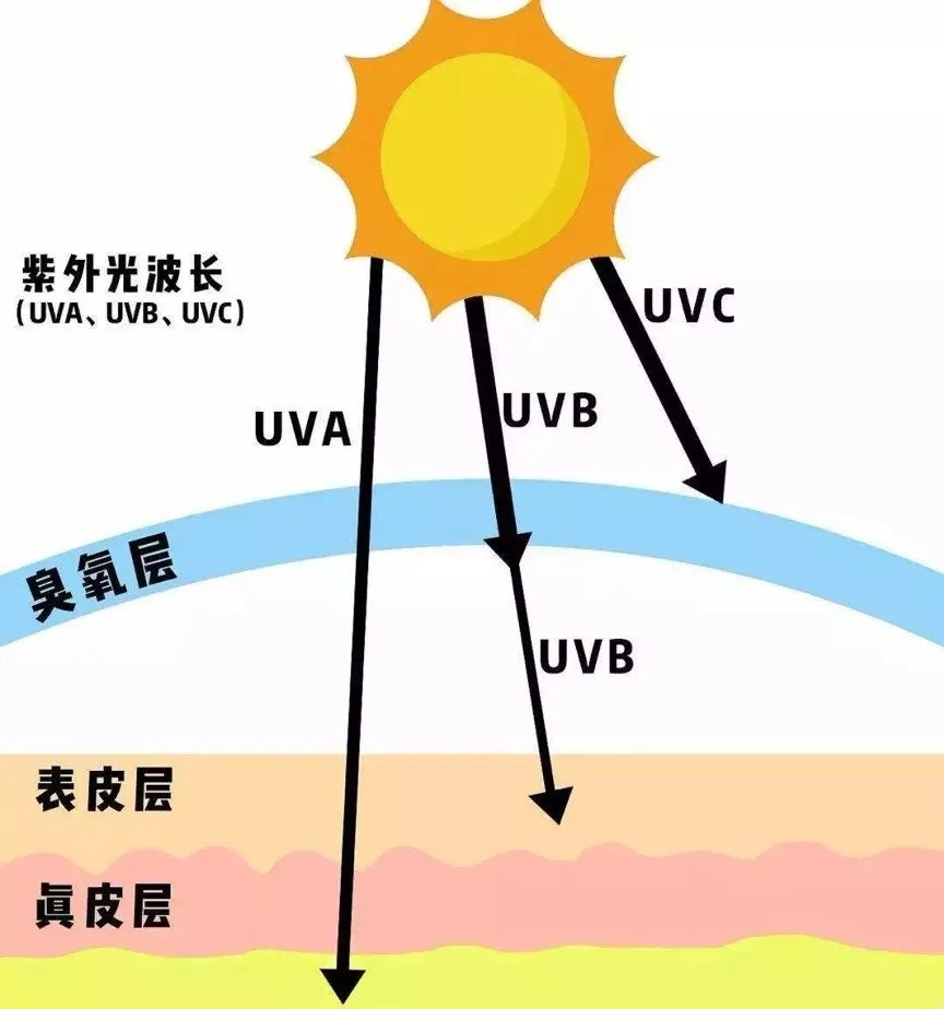 如果你最近皮肤差，又没有换护肤品，那么原因只有一个……